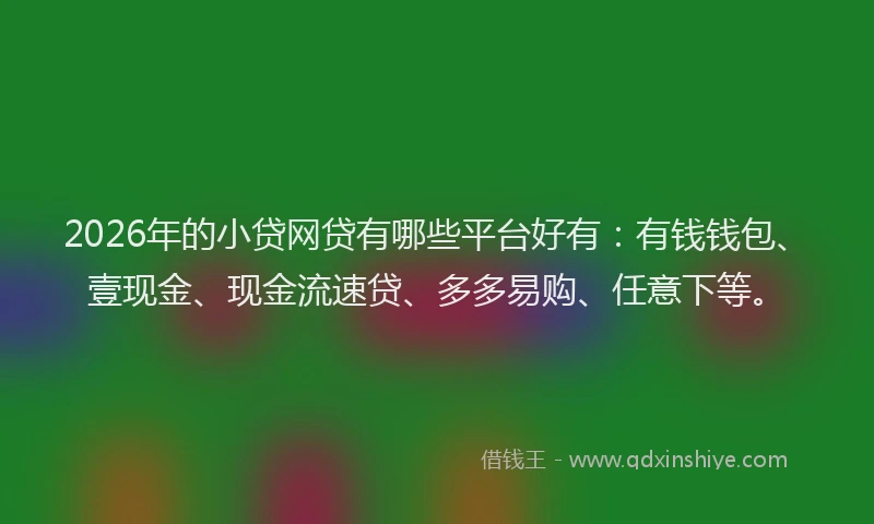 2026年的小贷网贷有哪些平台好有：有钱钱包、壹现金、现金流速贷、多多易购、任意下等。