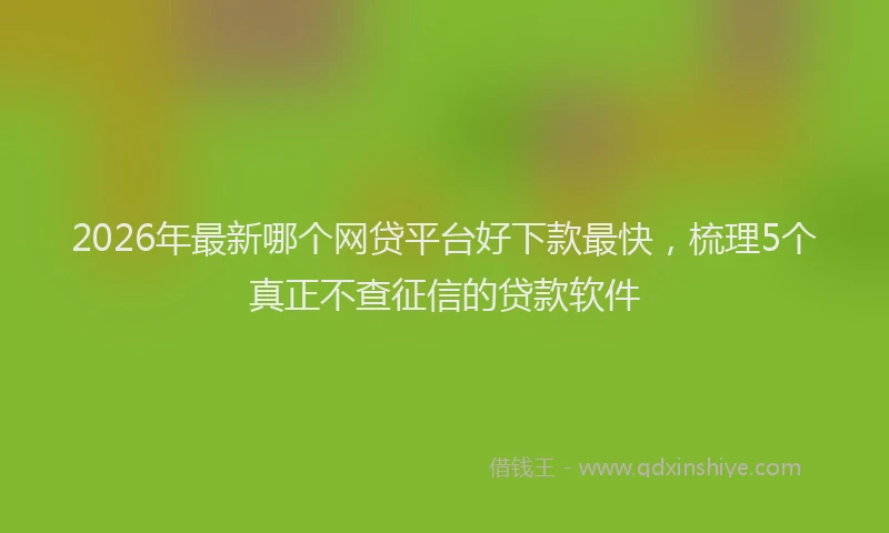 2026年最新哪个网贷平台好下款最快，梳理5个真正不查征信的贷款软件