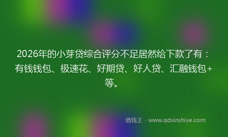 2026年的小芽贷综合评分不足居然给下款了有：有钱钱包、极速花、好期贷、好人贷、汇融钱包+等。