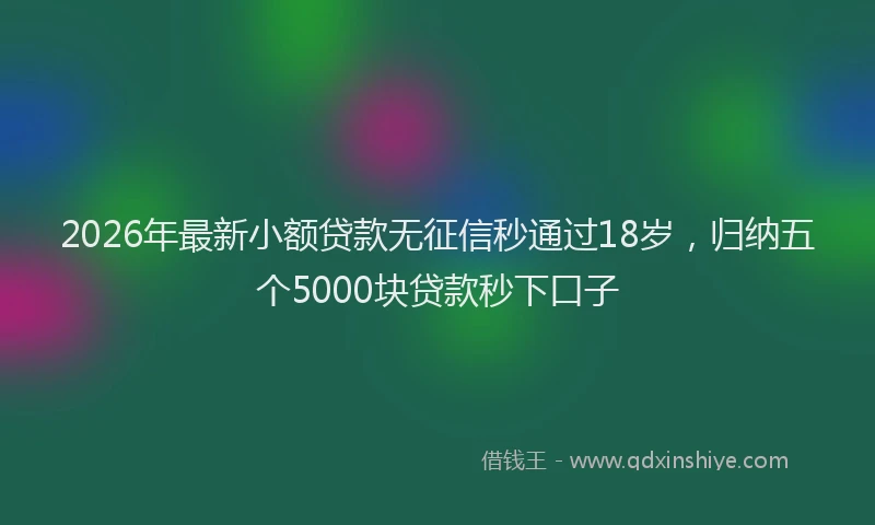 2026年最新小额贷款无征信秒通过18岁，归纳五个5000块贷款秒下口子
