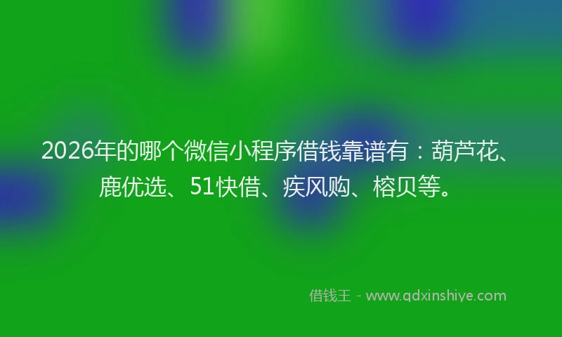 2026年的哪个微信小程序借钱靠谱有：葫芦花、鹿优选、51快借、疾风购、榕贝等。