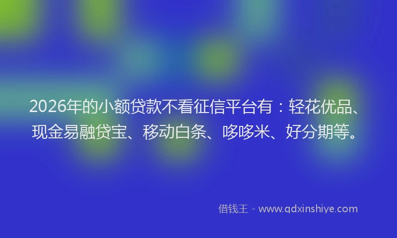 2026年的小额贷款不看征信平台有：轻花优品、现金易融贷宝、移动白条、哆哆米、好分期等。