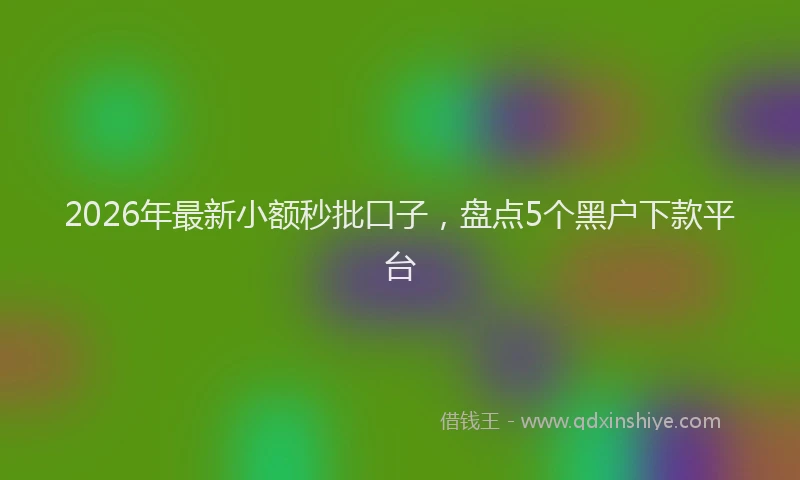 2026年最新小额秒批口子，盘点5个黑户下款平台