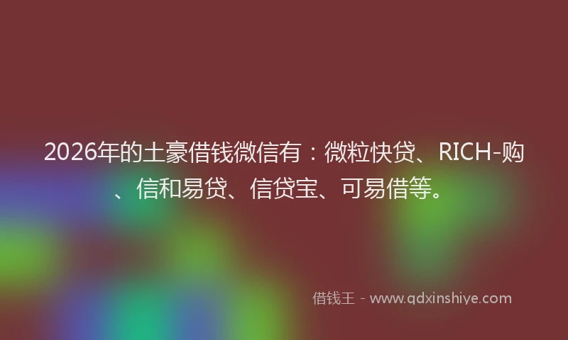 2026年的土豪借钱微信有：微粒快贷、RICH-购、信和易贷、信贷宝、可易借等。