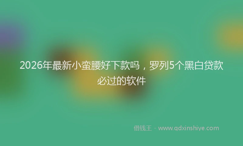 2026年最新小蛮腰好下款吗，罗列5个黑白贷款必过的软件