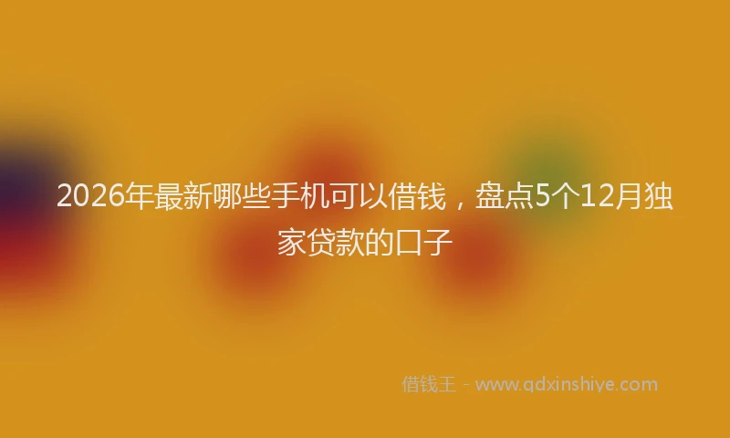 2026年最新哪些手机可以借钱，盘点5个12月独家贷款的口子