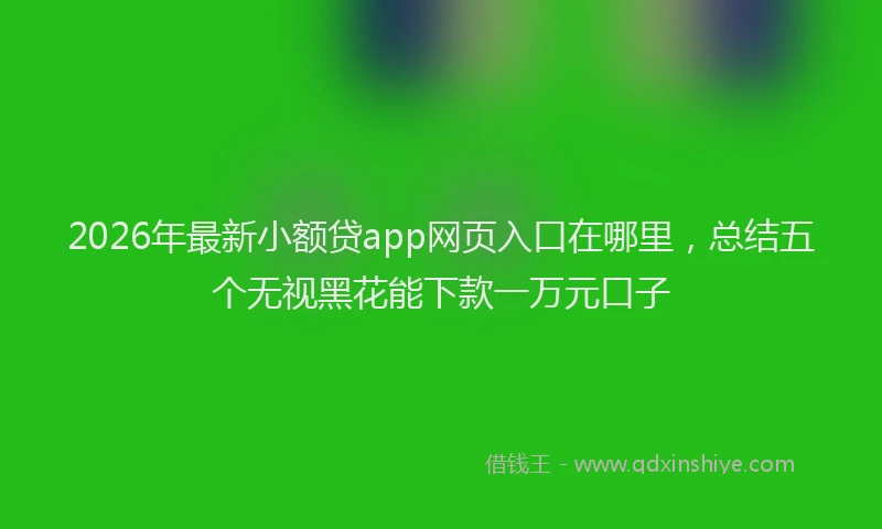 2026年最新小额贷app网页入口在哪里，总结五个无视黑花能下款一万元口子