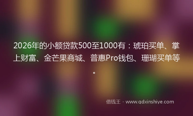 2026年的小额贷款500至1000有：琥珀买单、掌上财富、金芒果商城、普惠Pro钱包、珊瑚买单等。