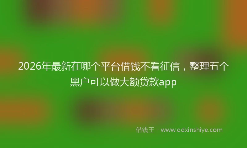2026年最新在哪个平台借钱不看征信，整理五个黑户可以做大额贷款app