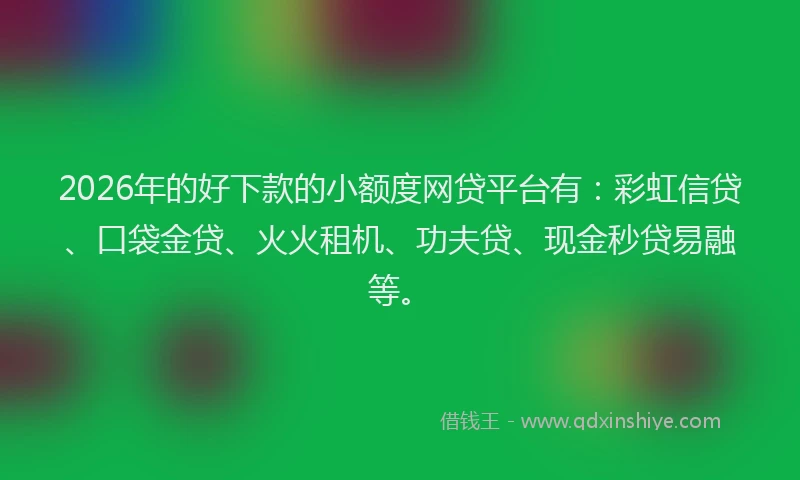2026年的好下款的小额度网贷平台有：彩虹信贷、口袋金贷、火火租机、功夫贷、现金秒贷易融等。