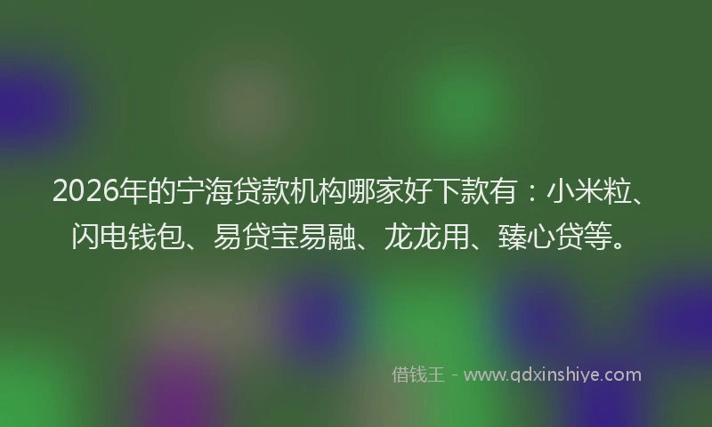 2026年的宁海贷款机构哪家好下款有：小米粒、闪电钱包、易贷宝易融、龙龙用、臻心贷等。