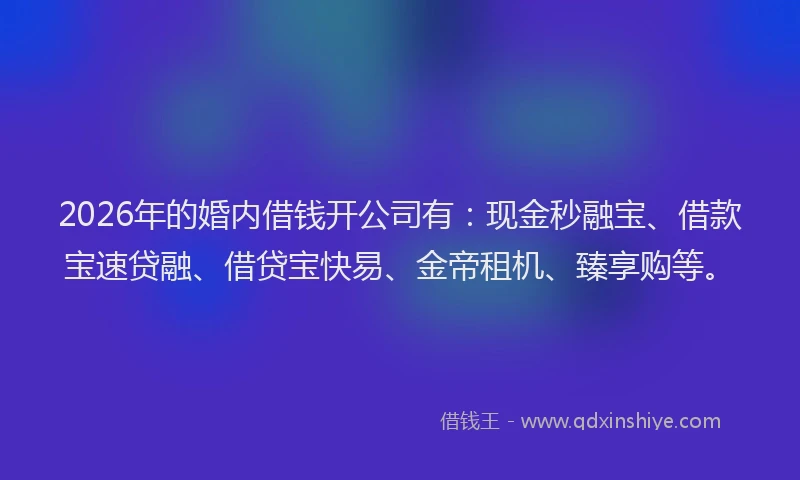2026年的婚内借钱开公司有：现金秒融宝、借款宝速贷融、借贷宝快易、金帝租机、臻享购等。