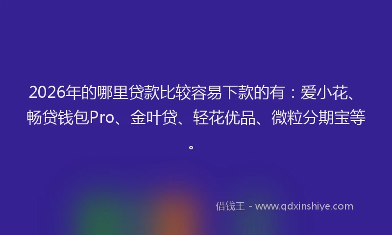 2026年的哪里贷款比较容易下款的有:爱小花、畅贷钱包Pro、金叶贷、轻花优品、微粒分期宝等。