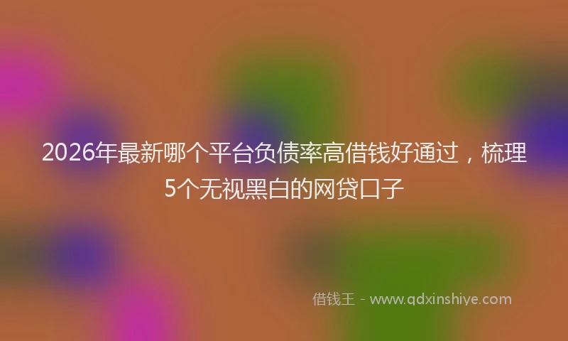 2026年最新哪个平台负债率高借钱好通过，梳理5个无视黑白的网贷口子