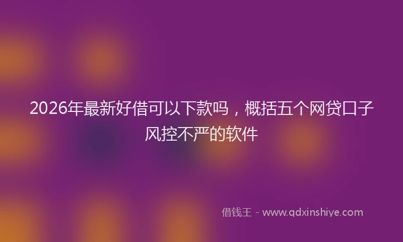 2026年最新好借可以下款吗，概括五个网贷口子风控不严的软件