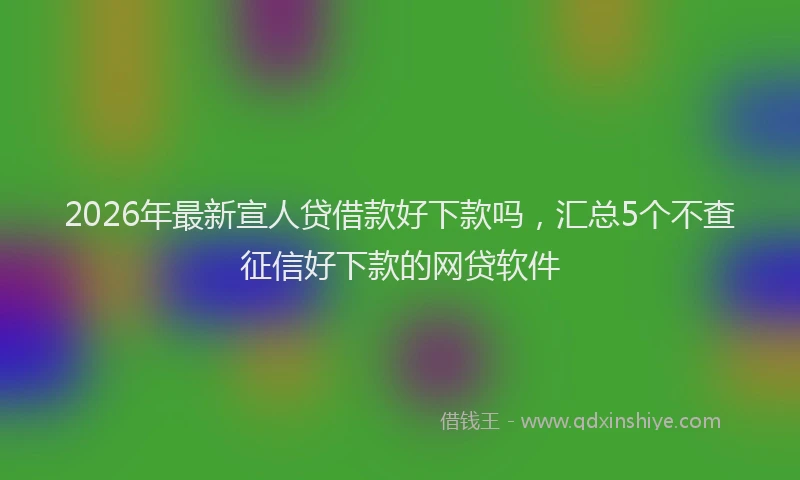 2026年最新宣人贷借款好下款吗，汇总5个不查征信好下款的网贷软件
