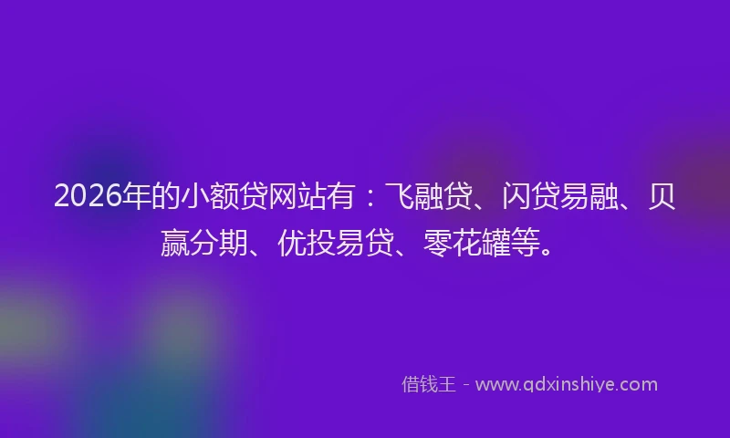2026年的小额贷网站有：飞融贷、闪贷易融、贝赢分期、优投易贷、零花罐等。