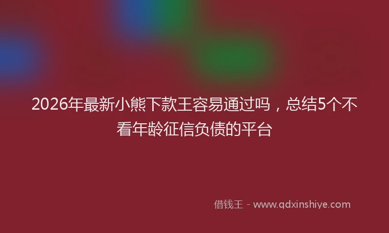 2026年最新小熊下款王容易通过吗，总结5个不看年龄征信负债的平台