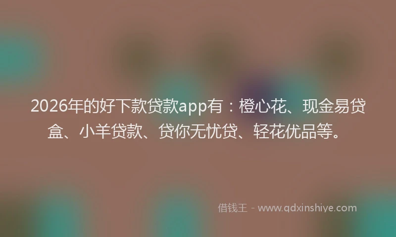 2026年的好下款贷款app有：橙心花、现金易贷盒、小羊贷款、贷你无忧贷、轻花优品等。