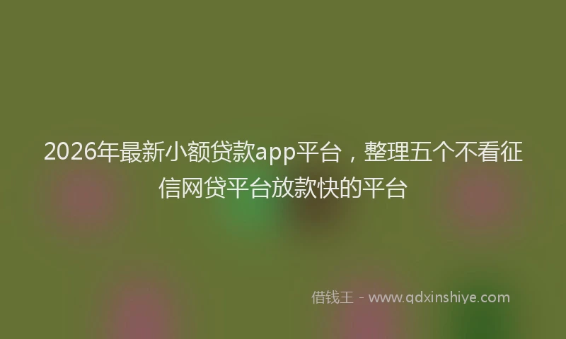 2026年最新小额贷款app平台，整理五个不看征信网贷平台放款快的平台
