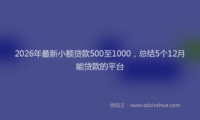 2026年最新小额贷款500至1000，总结5个12月能贷款的平台