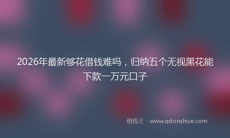 2026年最新够花借钱难吗,归纳五个无视黑花能下款一万元口子