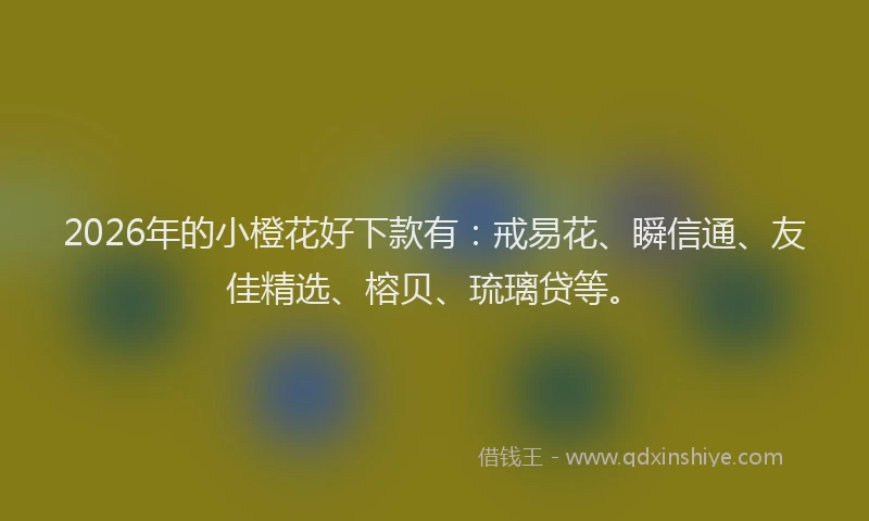 2026年的小橙花好下款有：戒易花、瞬信通、友佳精选、榕贝、琉璃贷等。