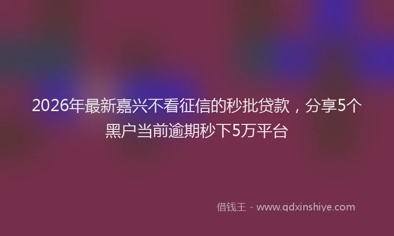 2026年最新嘉兴不看征信的秒批贷款，分享5个黑户当前逾期秒下5万平台