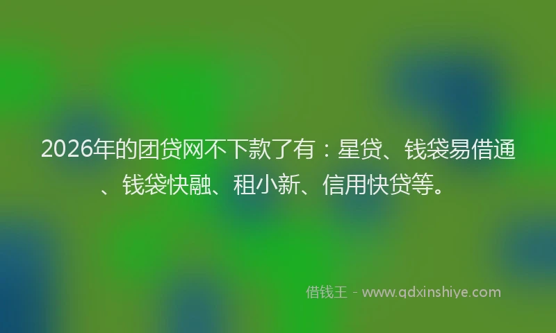 2026年的团贷网不下款了有:星贷、钱袋易借通、钱袋快融、租小新、信用快贷等。