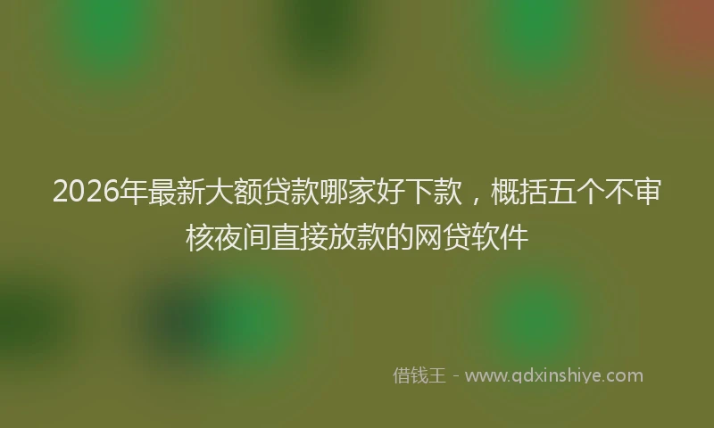 2026年最新大额贷款哪家好下款，概括五个不审核夜间直接放款的网贷软件