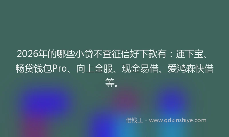 2026年的哪些小贷不查征信好下款有:速下宝、畅贷钱包Pro、向上金服、现金易借、爱鸿森快借等。