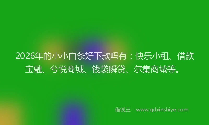 2026年的小小白条好下款吗有：快乐小租、借款宝融、兮悦商城、钱袋瞬贷、尔集商城等。