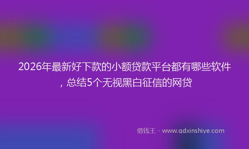 2026年最新好下款的小额贷款平台都有哪些软件，总结5个无视黑白征信的网贷