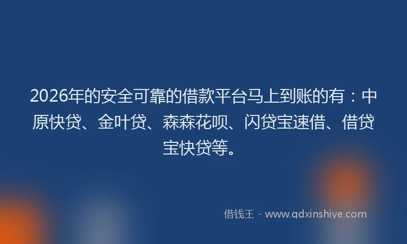 2026年的安全可靠的借款平台马上到账的有：中原快贷、金叶贷、森森花呗、闪贷宝速借、借贷宝快贷等。