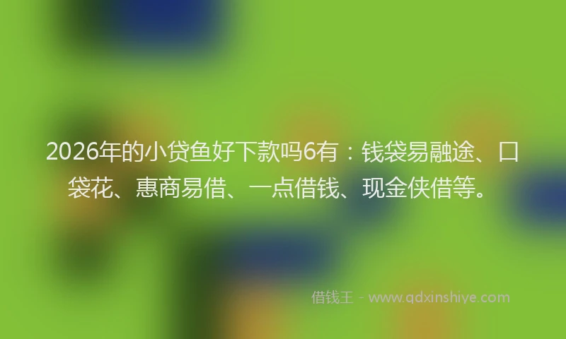 2026年的小贷鱼好下款吗6有：钱袋易融途、口袋花、惠商易借、一点借钱、现金侠借等。