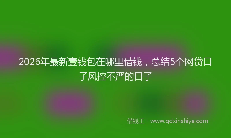 2026年最新壹钱包在哪里借钱，总结5个网贷口子风控不严的口子