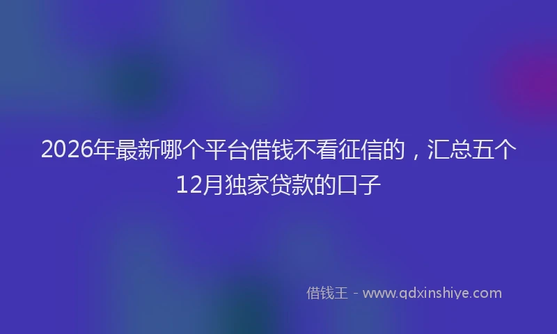 2026年最新哪个平台借钱不看征信的，汇总五个12月独家贷款的口子