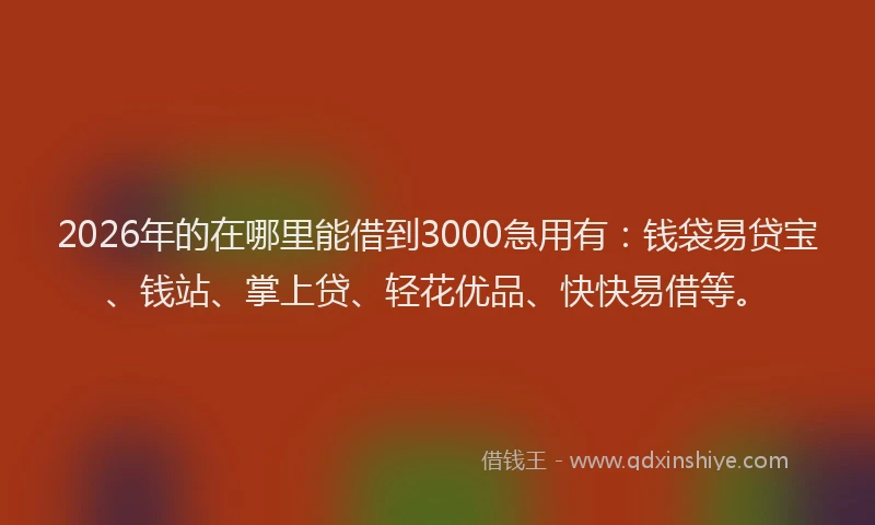 2026年的在哪里能借到3000急用有：钱袋易贷宝、钱站、掌上贷、轻花优品、快快易借等。