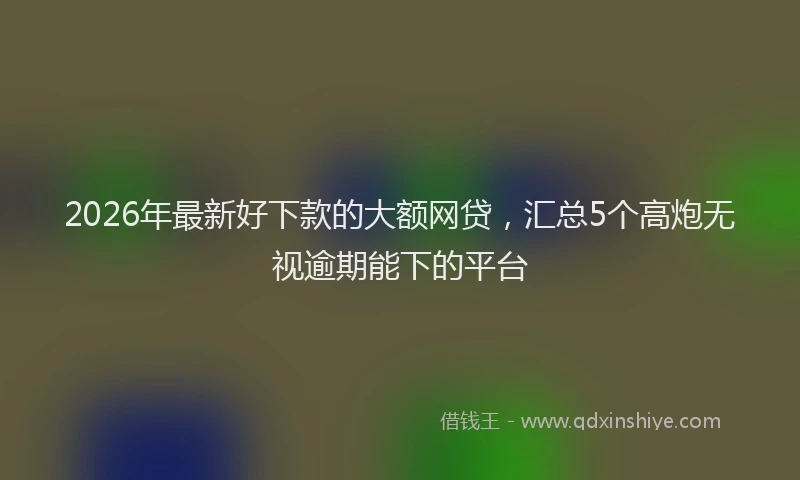 2026年最新好下款的大额网贷，汇总5个高炮无视逾期能下的平台