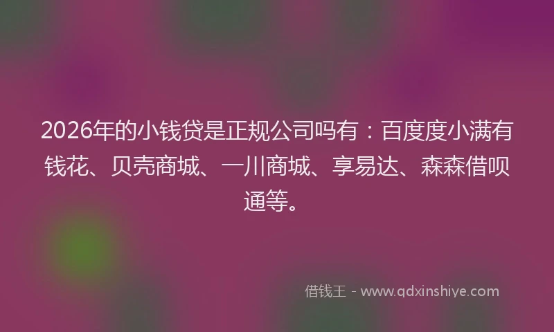 2026年的小钱贷是正规公司吗有：百度度小满有钱花、贝壳商城、一川商城、享易达、森森借呗通等。