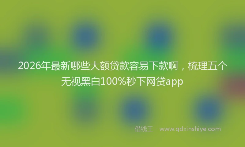 2026年最新哪些大额贷款容易下款啊，梳理五个无视黑白100%秒下网贷app