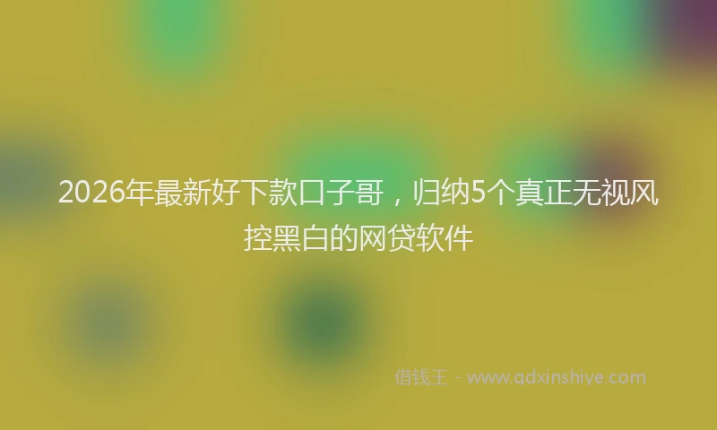 2026年最新好下款口子哥，归纳5个真正无视风控黑白的网贷软件