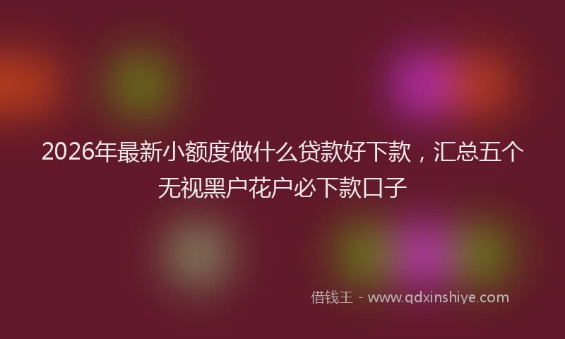 2026年最新小额度做什么贷款好下款，汇总五个无视黑户花户必下款口子