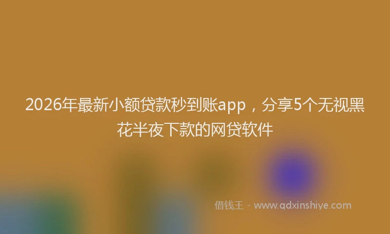 2026年最新小额贷款秒到账app，分享5个无视黑花半夜下款的网贷软件