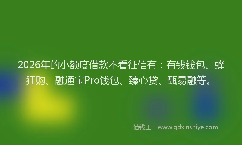 2026年的小额度借款不看征信有：有钱钱包、蜂狂购、融通宝Pro钱包、臻心贷、甄易融等。
