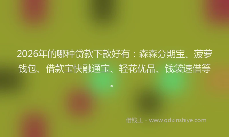 2026年的哪种贷款下款好有:森森分期宝、菠萝钱包、借款宝快融通宝、轻花优品、钱袋速借等。