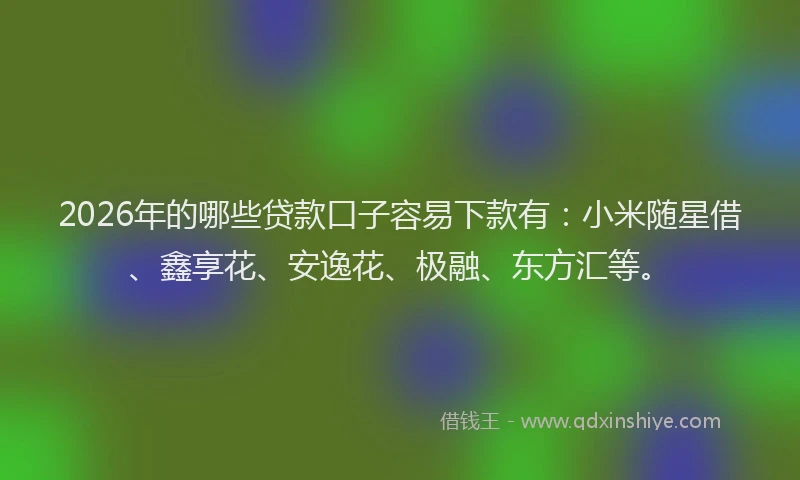 2026年的哪些贷款口子容易下款有：小米随星借、鑫享花、安逸花、极融、东方汇等。