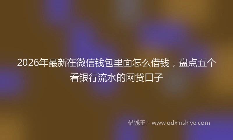 2026年最新在微信钱包里面怎么借钱，盘点五个看银行流水的网贷口子
