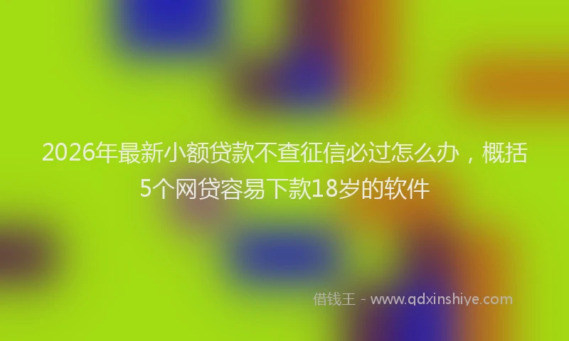 2026年最新小额贷款不查征信必过怎么办，概括5个网贷容易下款18岁的软件