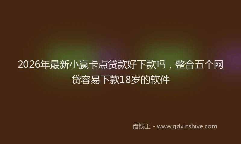 2026年最新小赢卡点贷款好下款吗，整合五个网贷容易下款18岁的软件